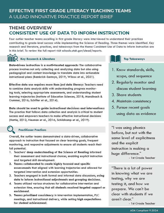 First grade data brief thumbnail