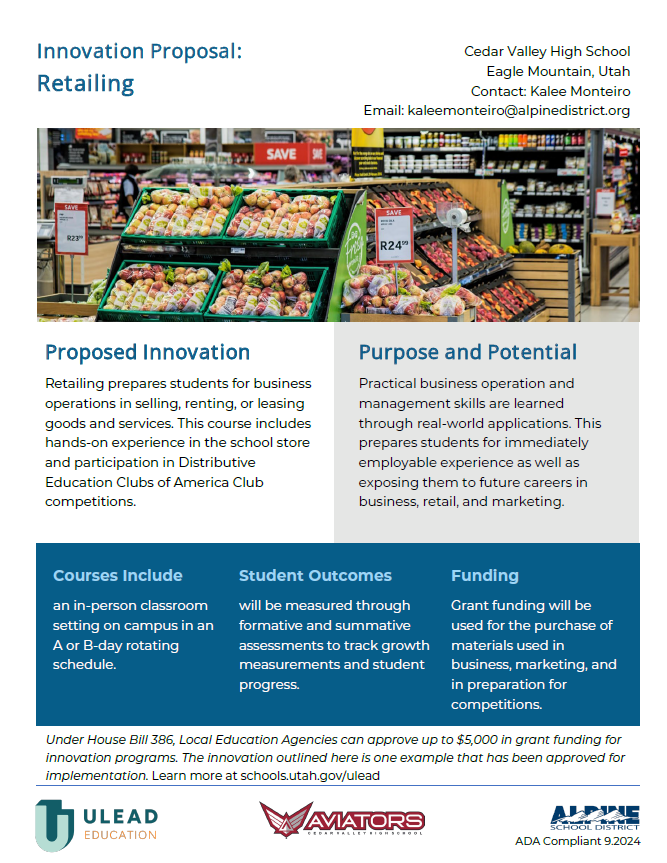 Retailing Innovation Proposal thumbnail pdf